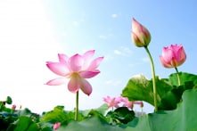 Kính trọng người khác là một loại cảnh giới cao thượng