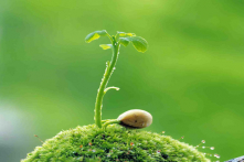 Câu chuyện xúc động về “gieo nhân nào gặp quả nấy”