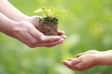 Cảnh giới giáo dục cao nhất bắt đầu từ “tôn trọng sự sống”