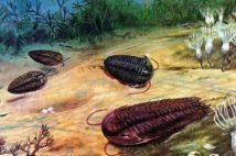 Bằng chứng hóa thạch về các nền văn minh tiền sử hàng triệu năm trước