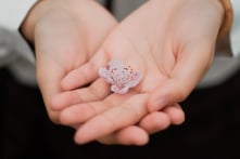 Lấy tâm khoan dung mình mà khoan dung người khác