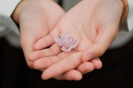 Lấy tâm khoan dung mình mà khoan dung người khác