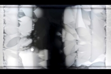 Video thí nghiệm: Vi khuẩn phát triển thành siêu vi khuẩn chỉ trong 11 ngày