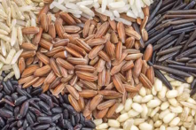 Các giống gạo màu có thể chứa những chất béo có lợi cho sức khỏe