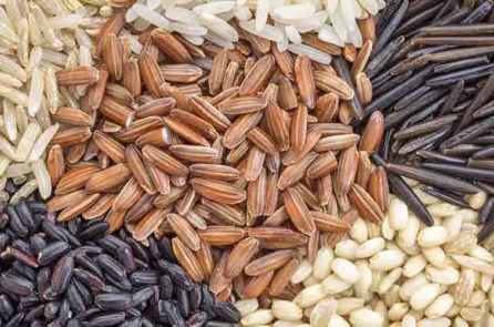 Các giống gạo màu có thể chứa những chất béo có lợi cho sức khỏe