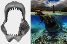 Cá mập tiền sử khổng lồ Megalodon vẫn còn sống dưới biển sâu?