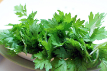 Ngải cứu – Vị thuốc quý từ thiên nhiên