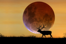 Bộ ảnh: Khắp thế giới hào hứng với hiện tượng ‘siêu trăng’ lịch sử