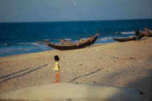 Chúng ta còn lại gì sau khi hủy hoại môi sinh?