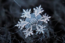 20+ hình ảnh macro cho thấy “cấu trúc hoàn hảo” của những bông tuyết