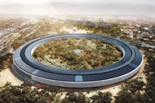 Nhân viên Apple phản đối chính sách buộc đến công ty 3 ngày/tuần