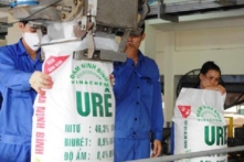 Dự án thua lỗ nghìn tỷ thứ 13 của Bộ Công Thương: Chờ Bộ Chính trị quyết định