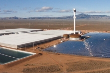 Úc: Trang trại khổng lồ trồng rau trên sa mạc chỉ với nước biển và ánh mặt trời