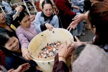 Cá chim trắng Piaractus brachypomus hay còn gọi là Colossoma brachypomum, là loài ngoại lai xâm hại