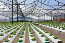 Mơ hồ về gói tín dụng ưu đãi 100 ngàn tỷ