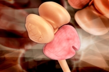 Nghiên cứu khoa học về ‘Con mắt thứ ba’ – P2: Con mắt thoái hóa trong bộ não người