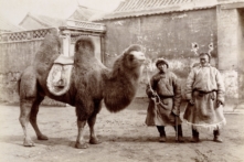 Những bức ảnh quý: Thế giới đã thất lạc của Trung Quốc thế kỷ 19