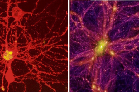 Sự tương đồng kỳ lạ giữa bộ não và vũ trụ