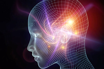 Ý thức – “điểm mù” của khoa học đang dần được hé mở