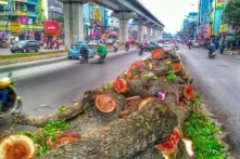 ‘Khủng hoảng niềm tin’ ở Việt Nam, đâu là gốc rễ?