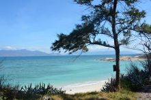 Bình Thuận: Vùng biển được cấp phép nhận chìm bùn thải có cả 4 nhóm động vật đáy