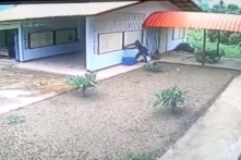 Tên trộm “đáng thương” nhất thế giới (Video)