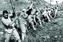 Đảng Cộng sản Trung Quốc từng trồng thuốc phiện lấy tiền phục vụ chiến tranh