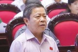 ong vo kim cu 2