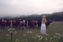 Cô gái Thụy Điển với giọng hát kỳ diệu có thể gọi đàn bò từ xa quay về