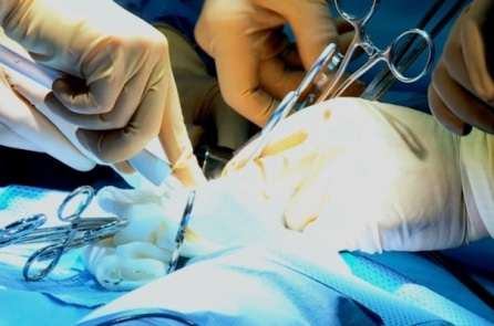 Tuyên bố Istanbul về chống mua bán tạng và du lịch ghép tạng – Giải pháp áp dụng tại Việt Nam