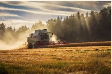 Tại sao năng suất 236 nông dân Trung Quốc không bằng 1 nông dân Mỹ?