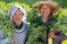 9 thói quen ăn uống giúp người Nhật sống lâu và khỏe mạnh