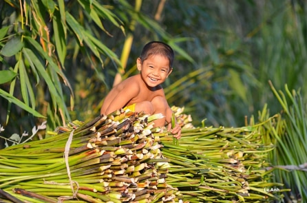 Tôi có một giấc mơ