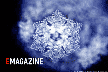 Vật chất và ý thức là một thể thống nhất