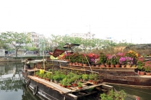 Thuyền hoa Tết tấp nập cập bến Bình Đông