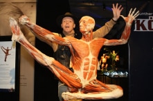 Triển lãm thân thể người nhựa hóa, sự tàn nhẫn đến cùng cực