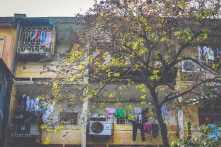 Tết nhìn từ những ô vuông vàng khu tập thể