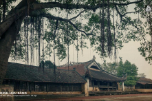 Lược khảo về đình ở Bắc Việt