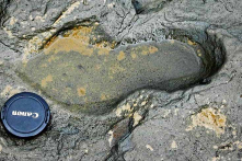 Dấu chân người hóa thạch 800.000 năm tuổi ở Anh, lịch sử cần phải được viết lại