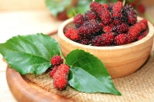 Dâu tằm: Hương vị quê hương và những lợi ích bất ngờ