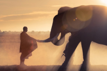 2 kiểu người đắc phúc báo, 2 kiểu người chiêu mời họa