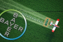 Bayer thâu tóm Monsanto: Nguy cơ độc quyền dữ liệu số nông nghiệp