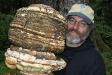 6 cách nấm có thể cứu thế giới (Video)