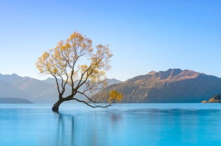 Trí tuệ cổ nhân: Tu dưỡng nội tâm trống rỗng, thanh tịnh