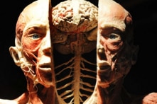 Bức màn tối đằng sau triển lãm cơ thể người tại Việt Nam