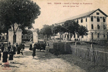 Chuyện cây xanh ở Hà Nội trước và sau năm 75