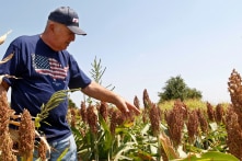 Thẩm phán ra lệnh tạm dừng gói cứu trợ nông dân của chính quyền Biden