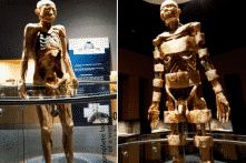 Triển lãm vì khoa học hay kiếm tiền trên thi thể người?