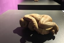 Vì sao nói triển lãm thi thể người vi phạm cả luật lẫn đạo đức?