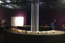 Sai phạm rõ ràng, triển lãm thi thể người còn tiếp tục bị bỏ ngỏ?